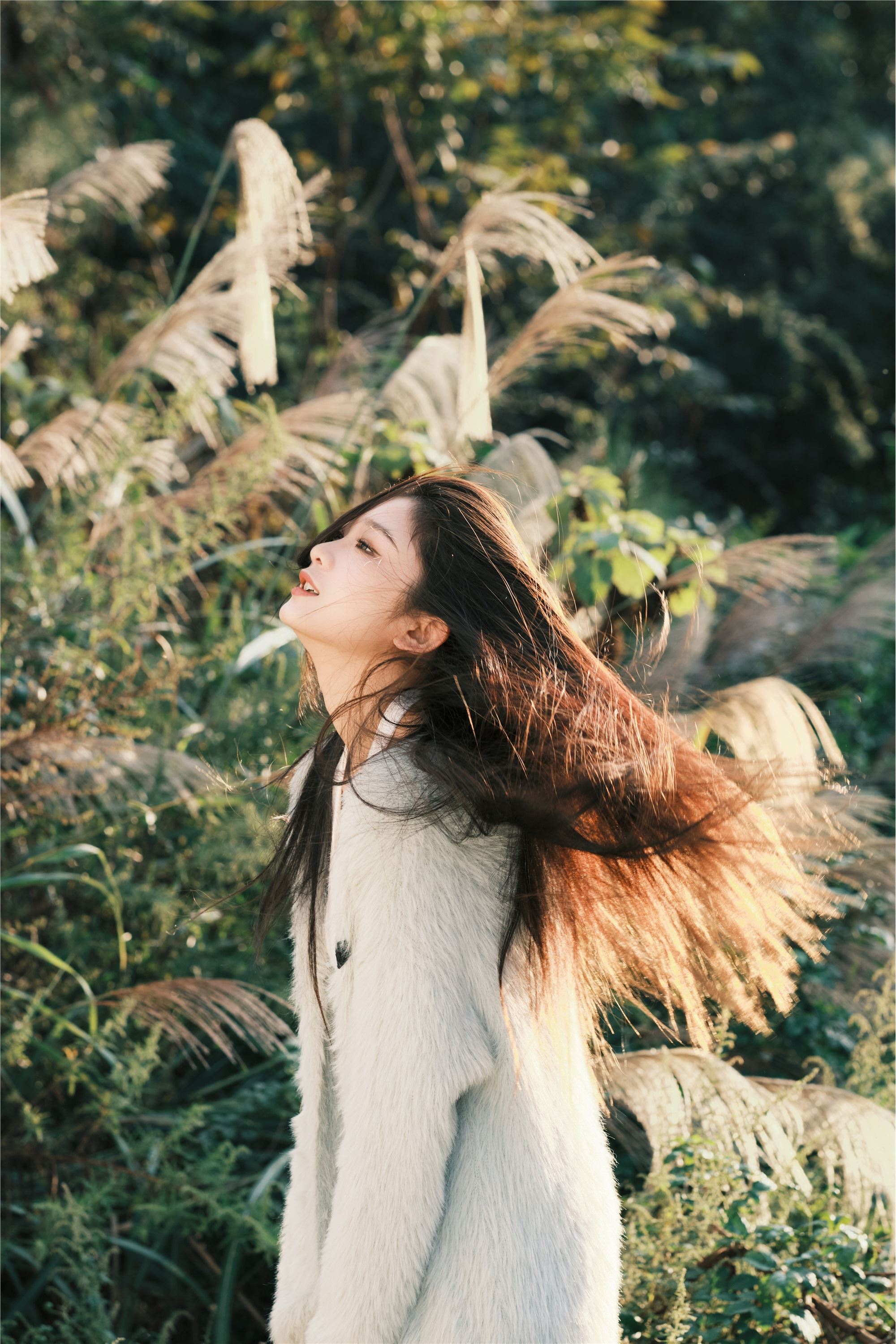 YITUYU艺图语 2025.01.03 湖边 一只狸猫